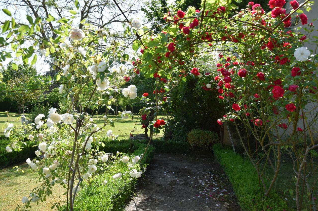 L'Intemporelle B&B Le Buisson-de-Cadouin Luaran gambar